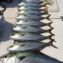 ビッグファイター 釣果