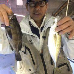 ヤザワ渡船 釣果