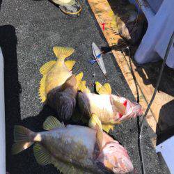 第二 つれたか丸 釣果