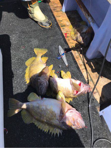 第二 つれたか丸 釣果