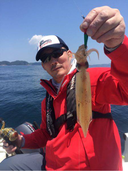 「LaGooN」蒼陽丸 日和号 釣果