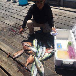 釣り堀水宝 釣果