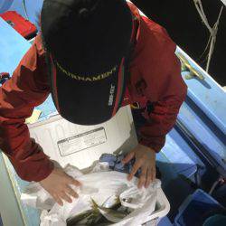 ヤザワ渡船 釣果