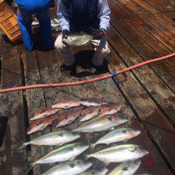 釣り堀水宝 釣果