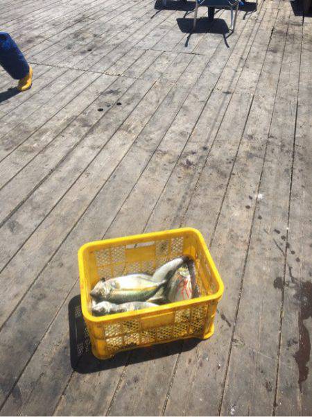 釣り堀水宝 釣果