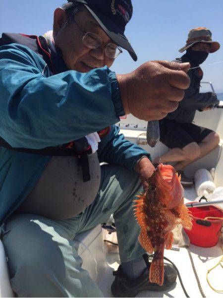 「LaGooN」蒼陽丸 日和号 釣果