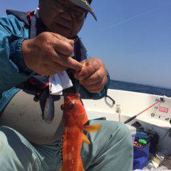 「LaGooN」蒼陽丸 日和号 釣果