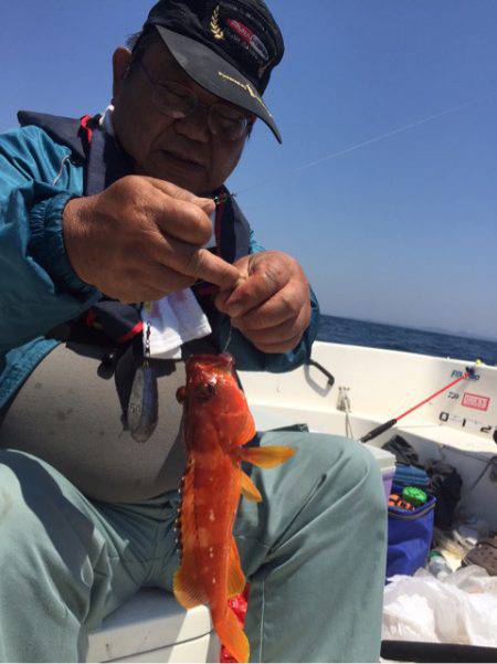 「LaGooN」蒼陽丸 日和号 釣果