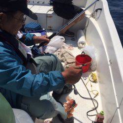 「LaGooN」蒼陽丸 日和号 釣果