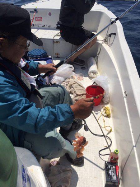 「LaGooN」蒼陽丸 日和号 釣果