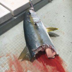 海楽隊 華栞丸 釣果