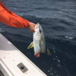 海楽隊 華栞丸 釣果