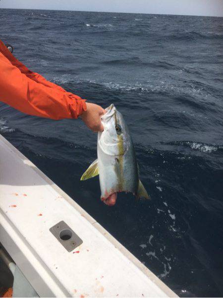 海楽隊 華栞丸 釣果