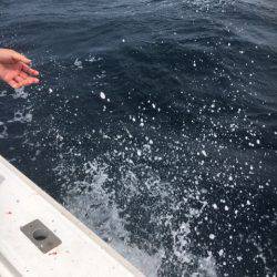 海楽隊 華栞丸 釣果