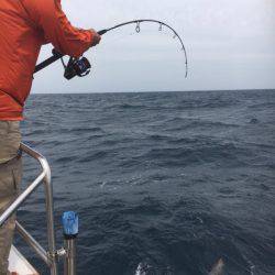 海楽隊 華栞丸 釣果