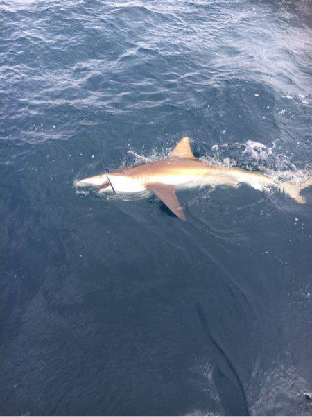 海楽隊 華栞丸 釣果