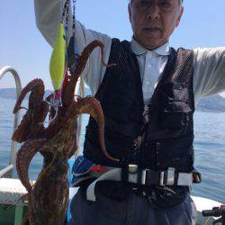 ヤザワ渡船 釣果