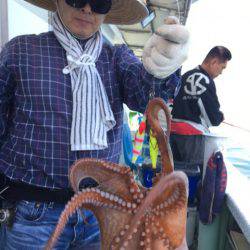 ヤザワ渡船 釣果