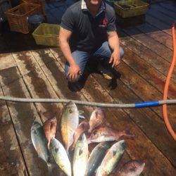 釣り堀水宝 釣果