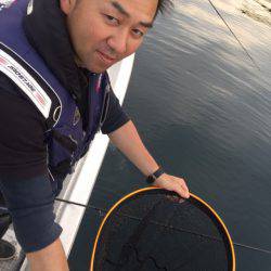 「LaGooN」蒼陽丸 日和号 釣果