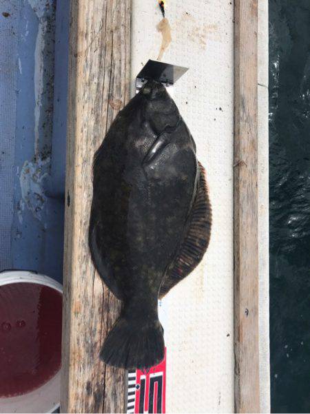 第二　つれたか丸 釣果