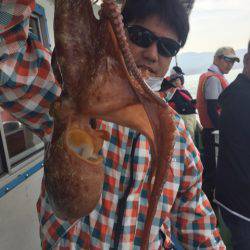 ヤザワ渡船 釣果