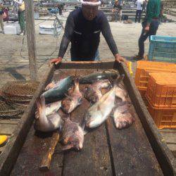 釣り堀水宝 釣果