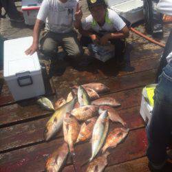 釣り堀水宝 釣果