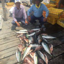 釣り堀水宝 釣果