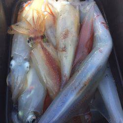 「LaGooN」蒼陽丸 日和号 釣果