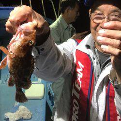 ヤザワ渡船 釣果