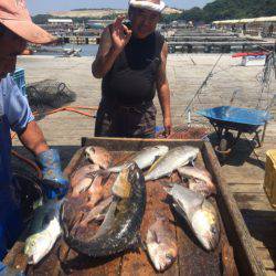釣り堀水宝 釣果