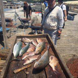 釣り堀水宝 釣果