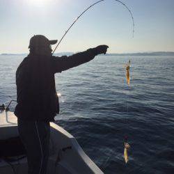 「LaGooN」蒼陽丸 日和号 釣果