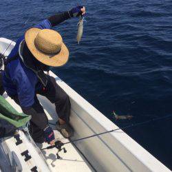 「LaGooN」蒼陽丸 日和号 釣果