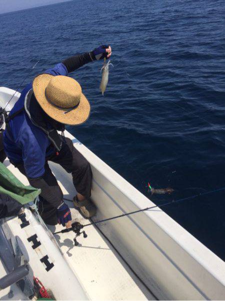 「LaGooN」蒼陽丸 日和号 釣果