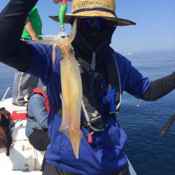 「LaGooN」蒼陽丸 日和号 釣果