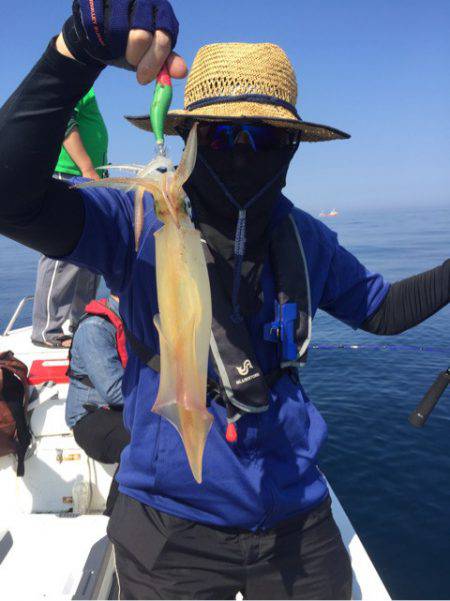 「LaGooN」蒼陽丸 日和号 釣果