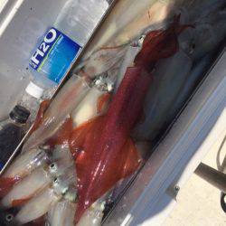 「LaGooN」蒼陽丸 日和号 釣果