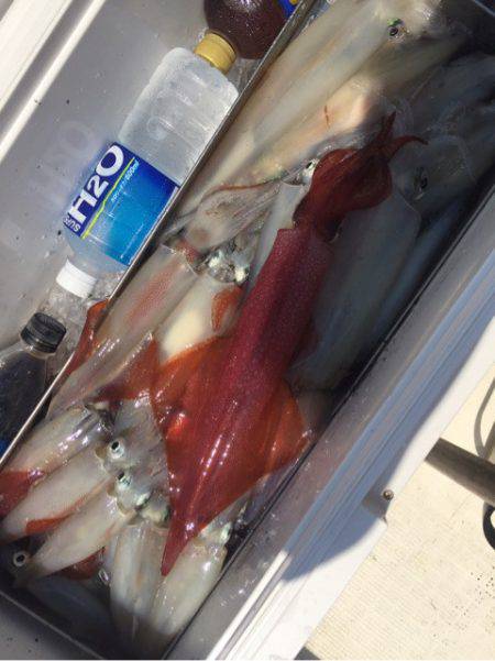 「LaGooN」蒼陽丸 日和号 釣果