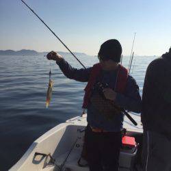 「LaGooN」蒼陽丸 日和号 釣果