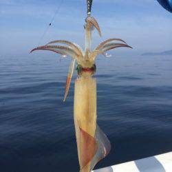 「LaGooN」蒼陽丸 日和号 釣果