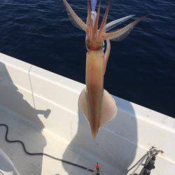 「LaGooN」蒼陽丸 日和号 釣果