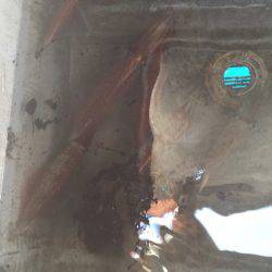 「LaGooN」蒼陽丸 日和号 釣果