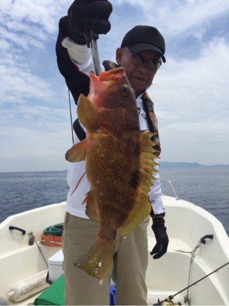 「LaGooN」蒼陽丸 日和号 釣果
