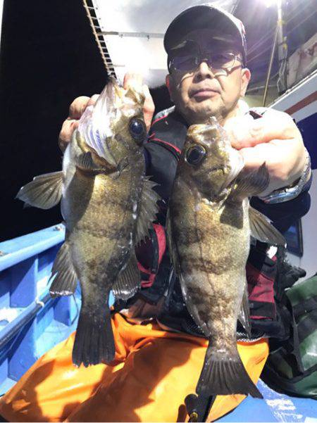 ヤザワ渡船 釣果