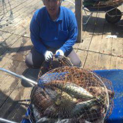 釣り堀水宝 釣果