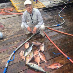 釣り堀水宝 釣果
