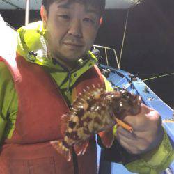 ヤザワ渡船 釣果