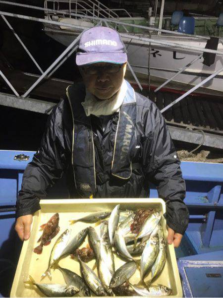 ヤザワ渡船 釣果